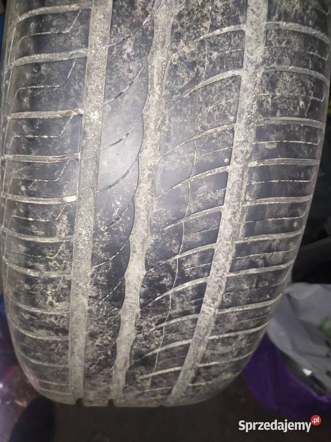 Opony letnie Pirelli 2055516 4 sztuki Wejherowo
