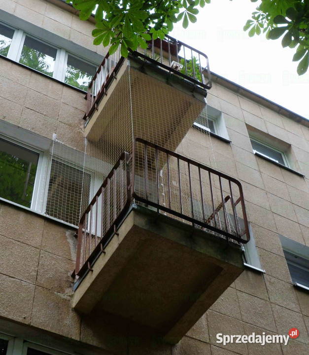Montowanie siatki na balkon kota Warszawa siatka usługa dla zwierząt