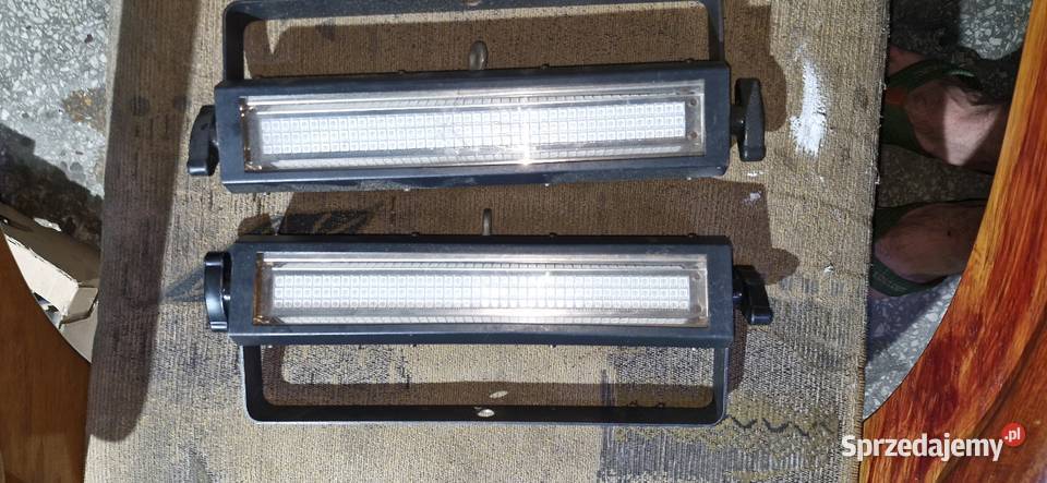 Cameo Thunder Wash 100W x 2 Suszec sprzedam
