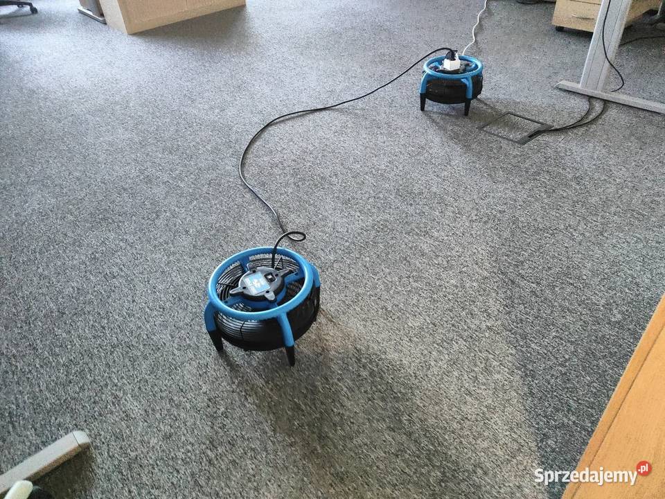 Pralnia Dywanów Rawa Mazowiecka Pranie dywanów