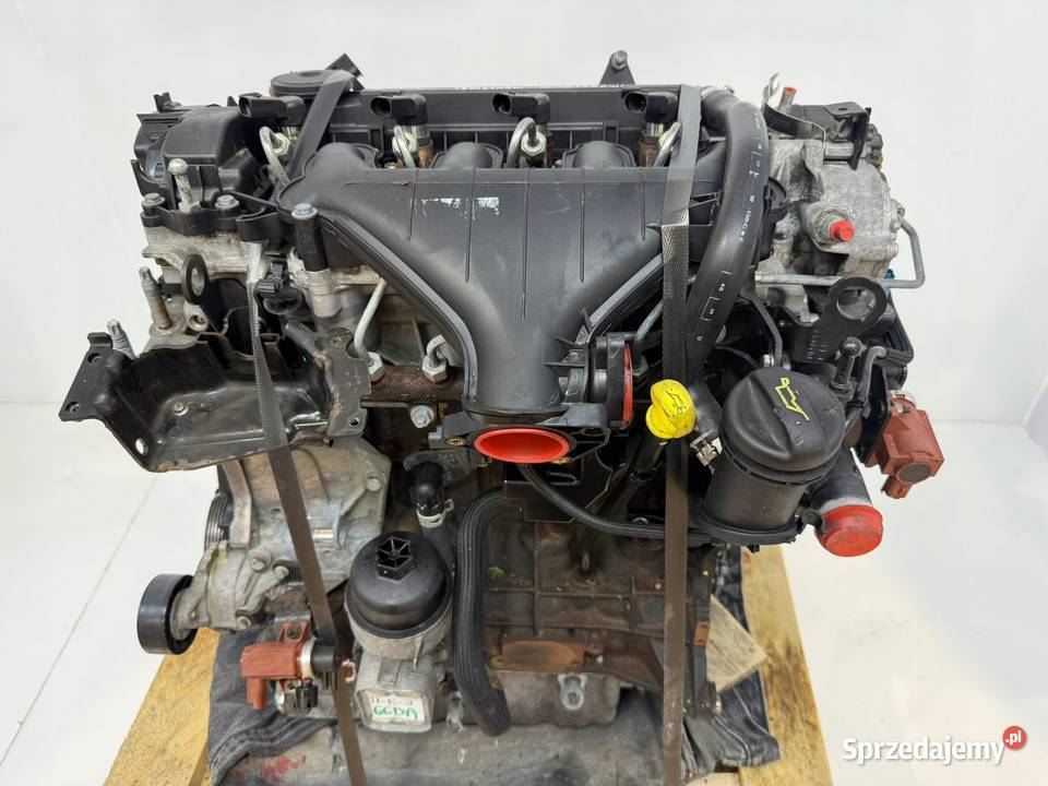 SILNIK G6DA Ford C C 20 TDCI 136 G6DB G6DD G6DG Chełm