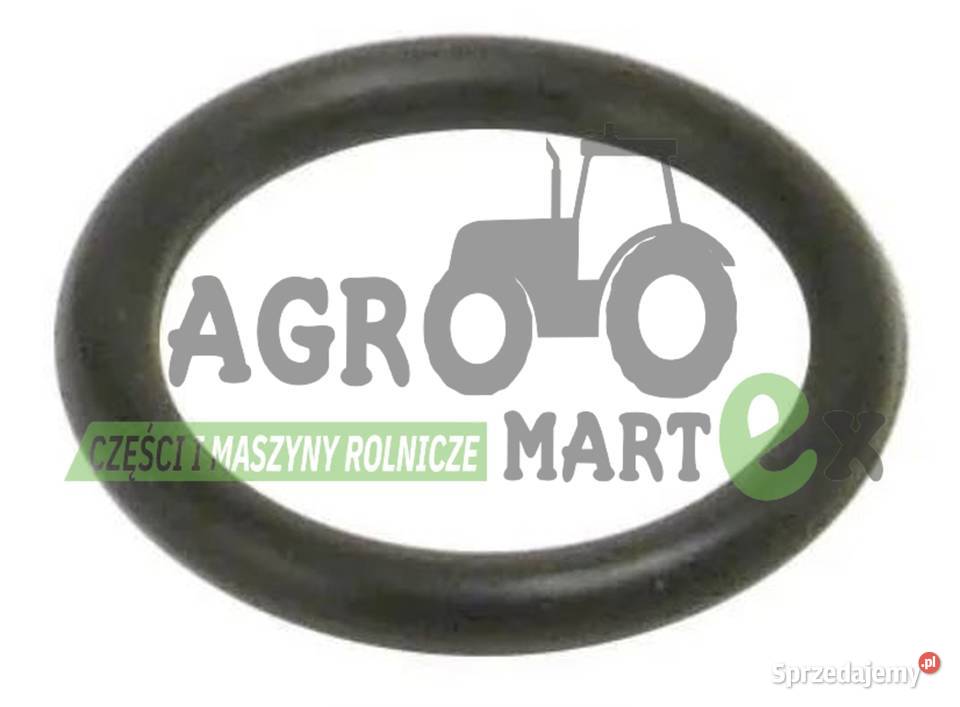 9993141 81844851 78500016 374271S 2386012 ORING Wichrów