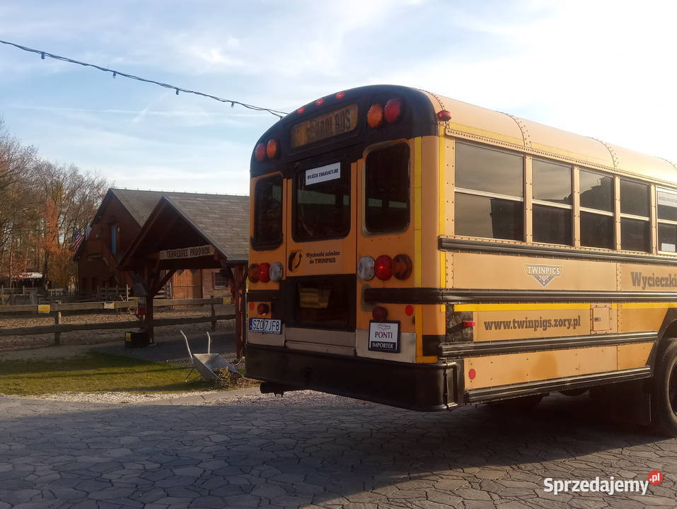 Autobus szkolny School Bus automatyczna