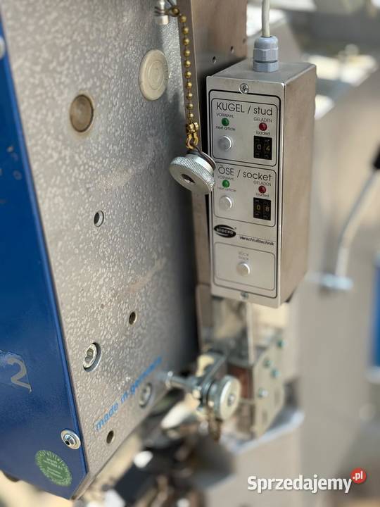 oczkarka stoco Szczecin