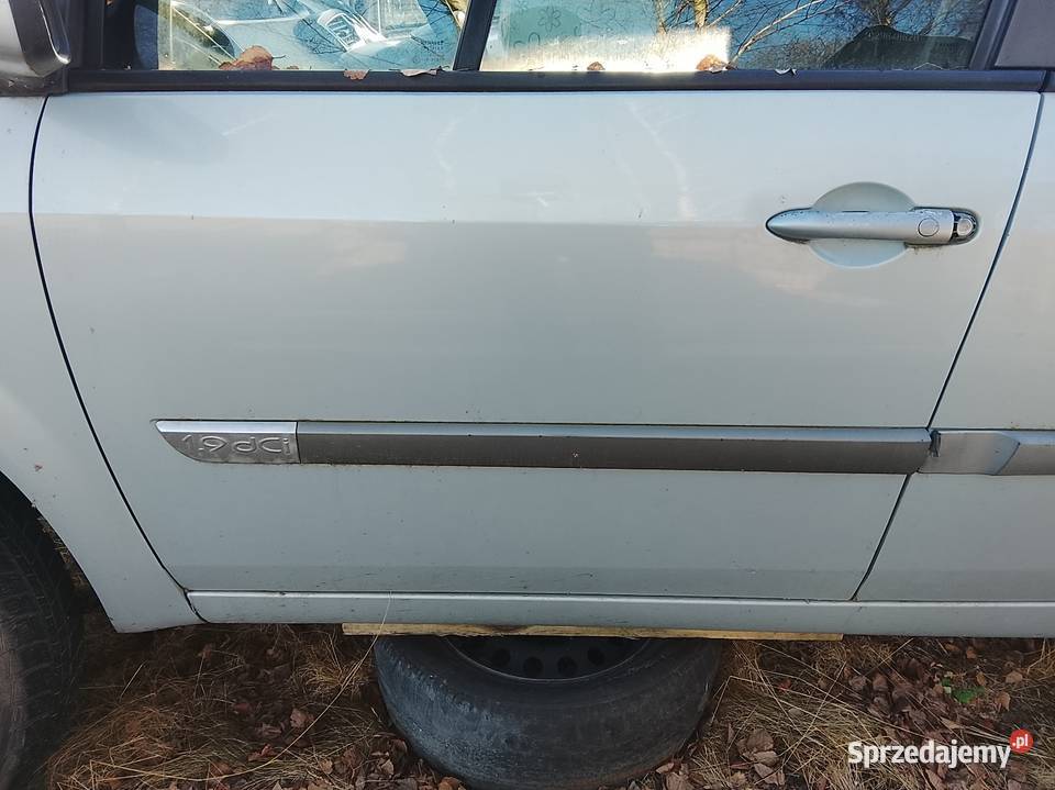 Błotnik lew scenic II wielkopolskie Ostrów Wielkopolski sprzedam