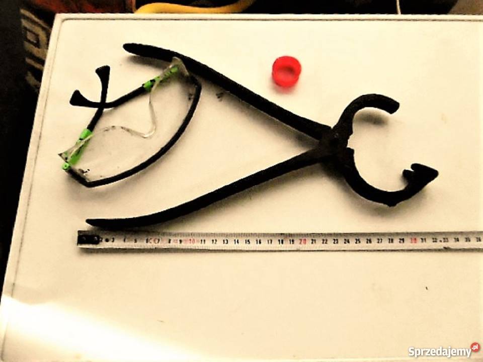 szczypce kleszcze cęgi koła nosowe byk krowa