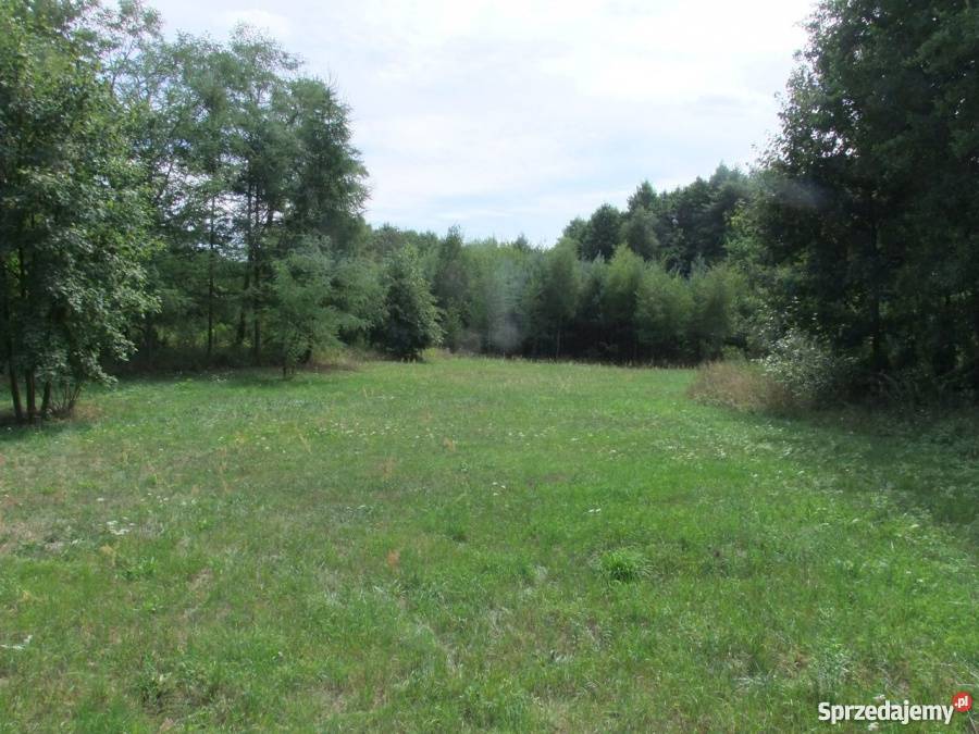 Piękna działka we wsi Kosyń gmina Wola Uhruska