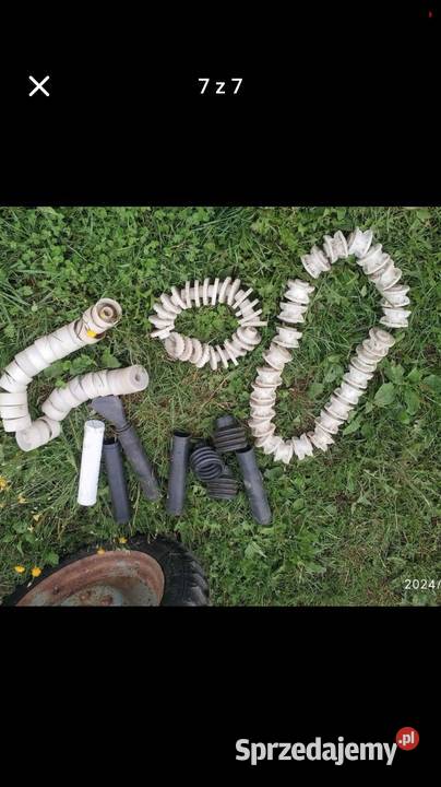 Poznaniak 27m Puńsk