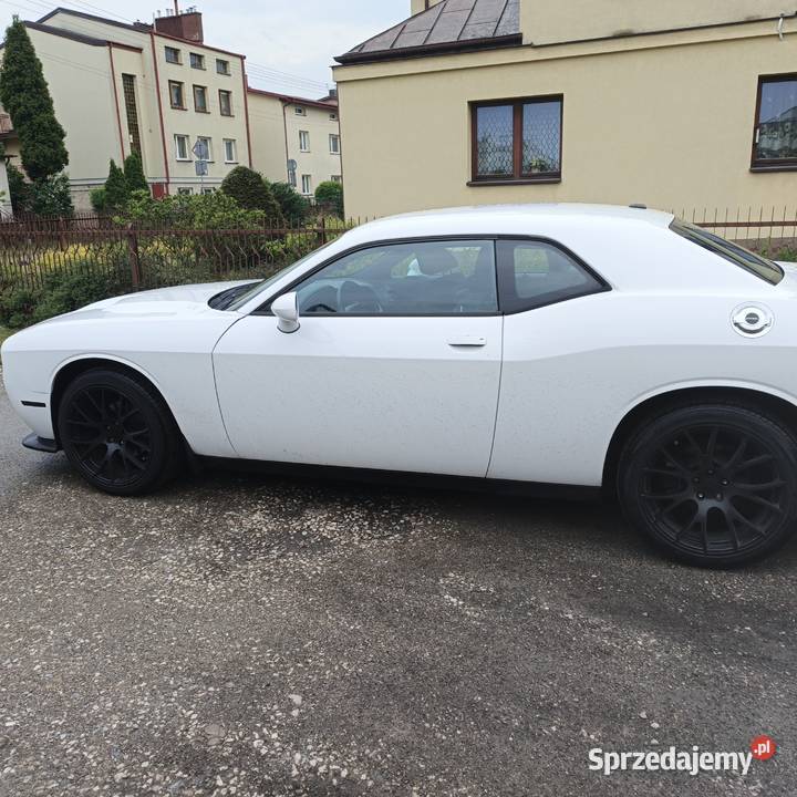 Dodge Challenger 36 SXT Sportowy / Coupe Końskie