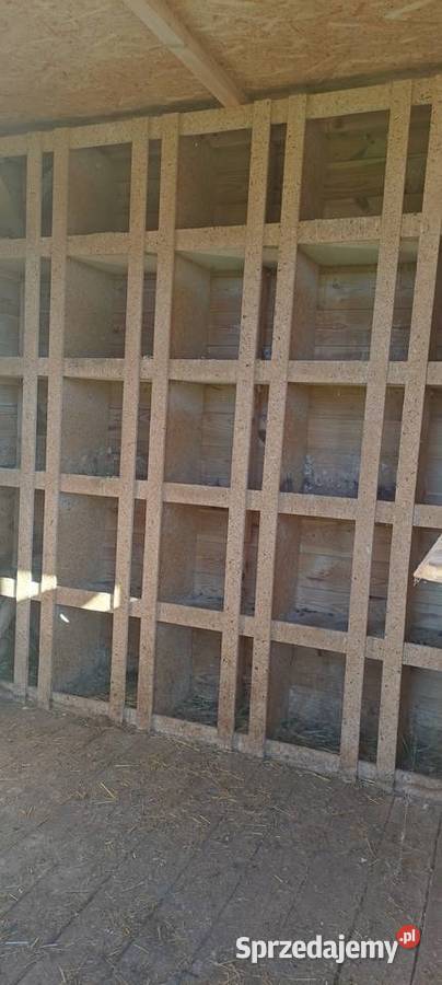 Sprzedam Gołębnik Żuków
