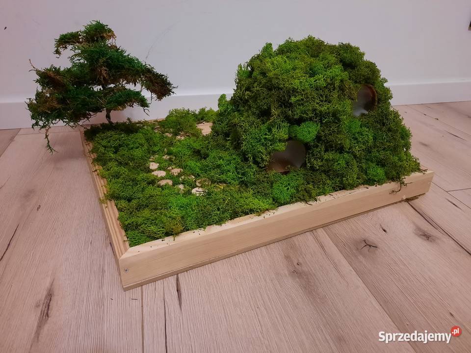 Domek praca plastyczna małopolskie Kraków