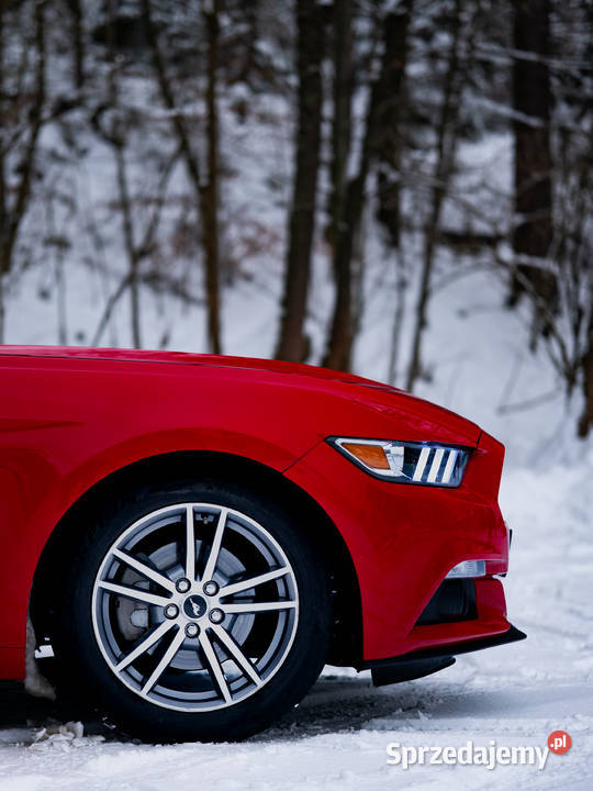 Ford Mustang 23 EcoBoost 177336km