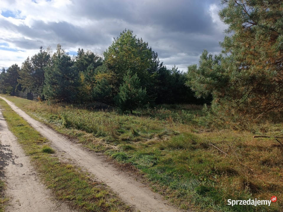 sprzedam działkę Mącice Nieruchomości mazowieckie