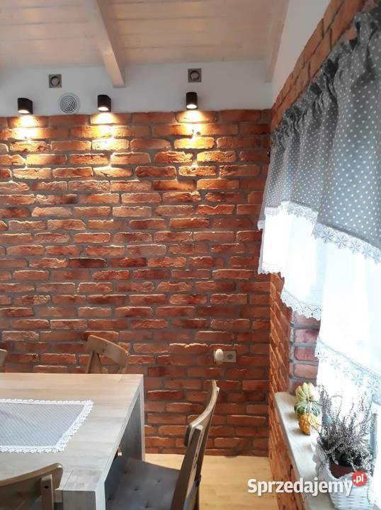 Stare cegły na ścianę i Elewacje plytki ceglane