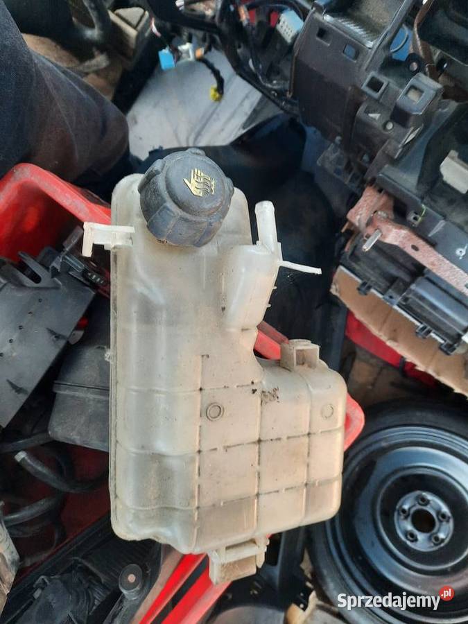 Zbiorniczek płynu chłodniczego Renault Espace IV małopolskie