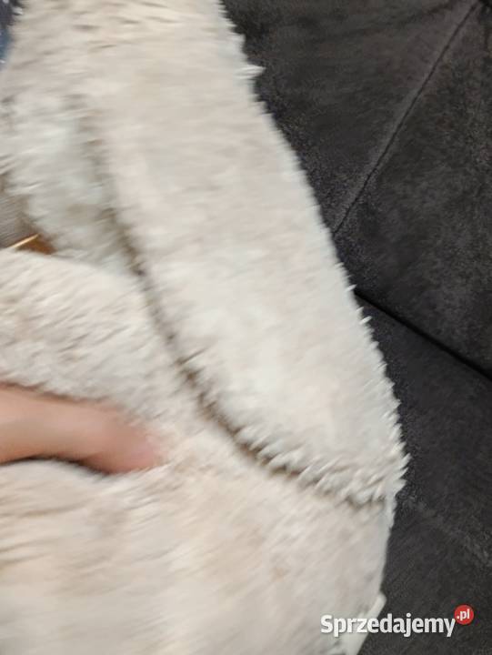 pluszowa maskotka królika Poznań