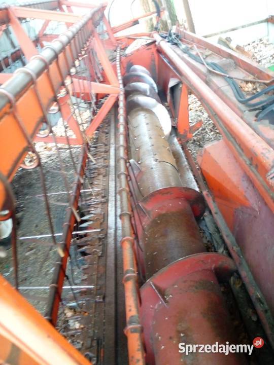 Bizon Z056 super Głogów