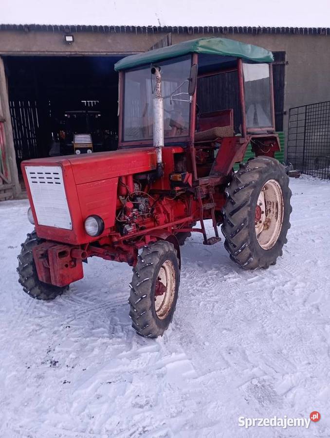 Władimirec t25 Brodnica