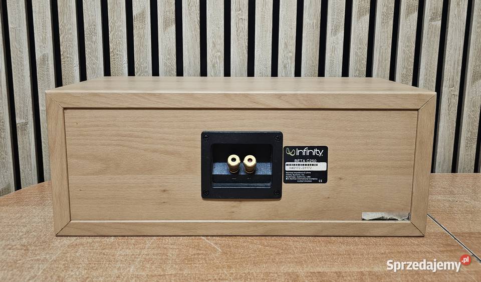 Kolumna centralna INFINITY Beta C250 lubuskie sprzedam