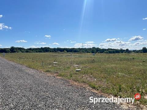działki domki jeziorem Pławniowice Wynajem