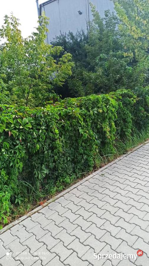 działka budowlana 304m Warszawa Rembertów