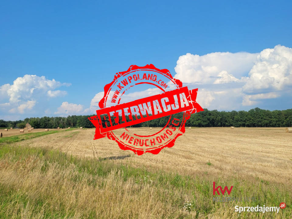 Sprzedam grunt Grzebienisko 860 metrów