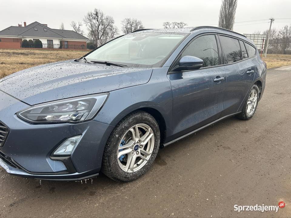 Ford fokus 2019 r 15 d Gniezno