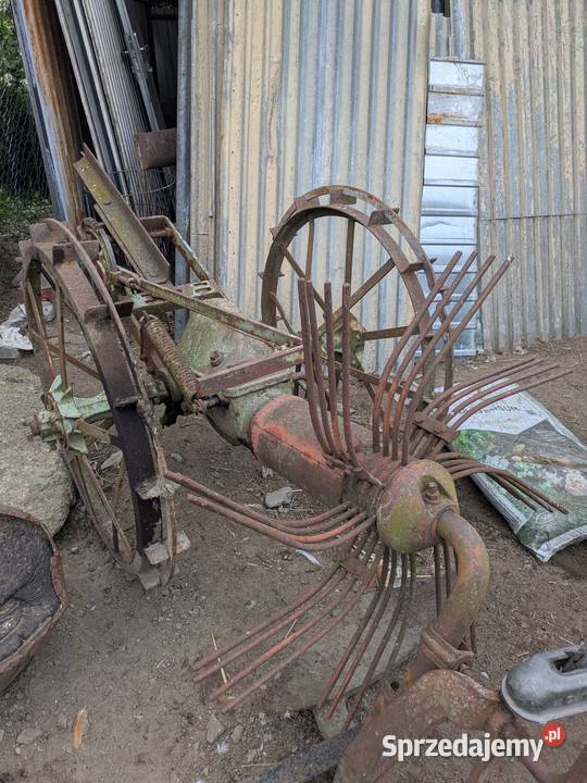 Kopaczka konna Radomsko