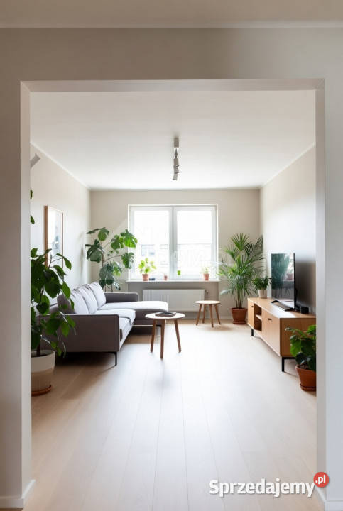 Centrum Kielc 2 pokoje do remontu Sprzedaż świętokrzyskie