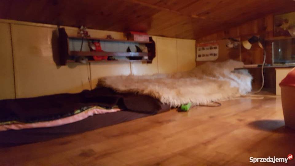 Domek letniskowy w Lginiu rekreacyjny Lgiń