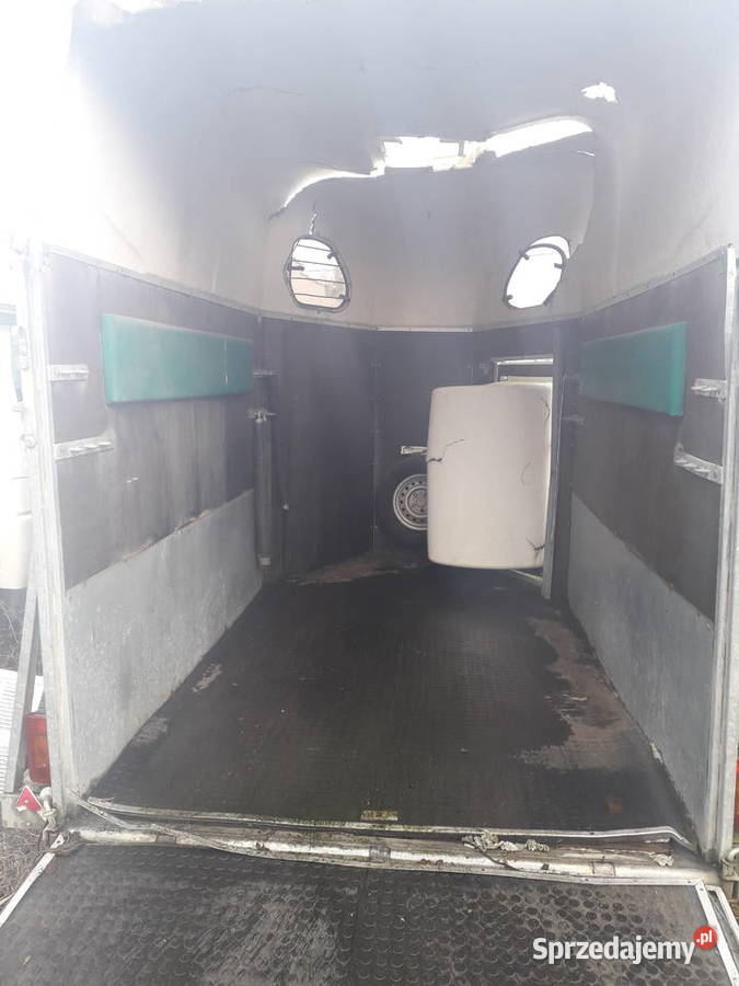 CHEVAL LIBERTE 2002r do przewozu koni Grudziądz sprzedam