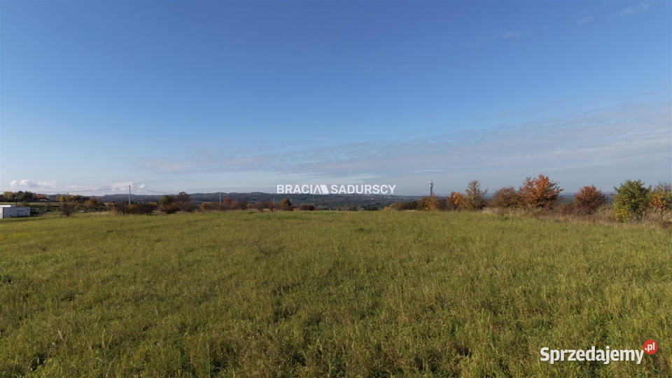 Grunt 8700m2 Rudno sprzedam