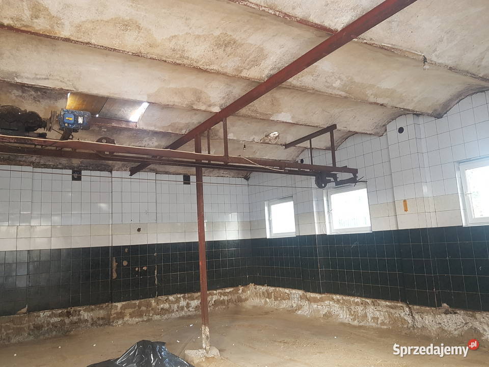 Wygarniacz obornika Bogoria sprzedam