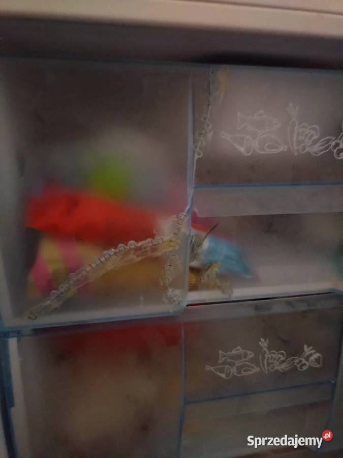 Lodówka z zamrażarką Beko wolnostojące Mogilno