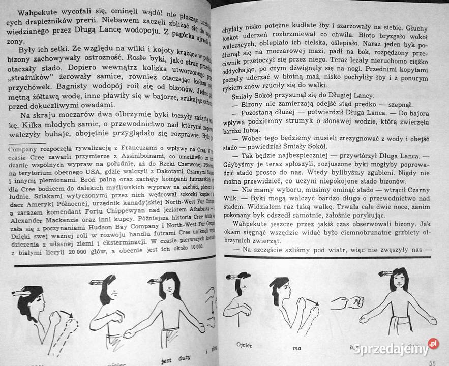 Złoto Gór Czarnych Przekleństwo złota Tom 2 K i Chełm