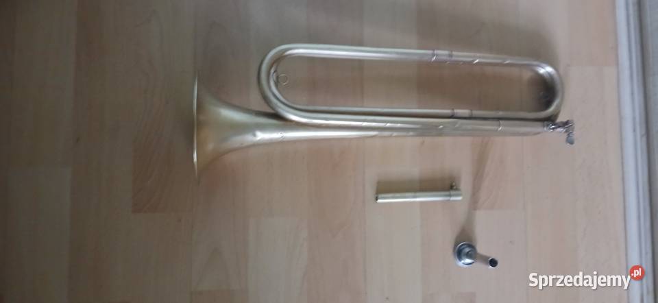 MOSIĘŻNA Trąbka sygnałowa małopolskie Kraków