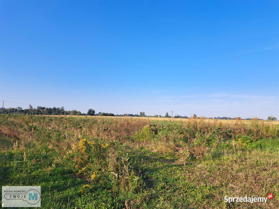 sprzedaży działki Łubnice 21800m2