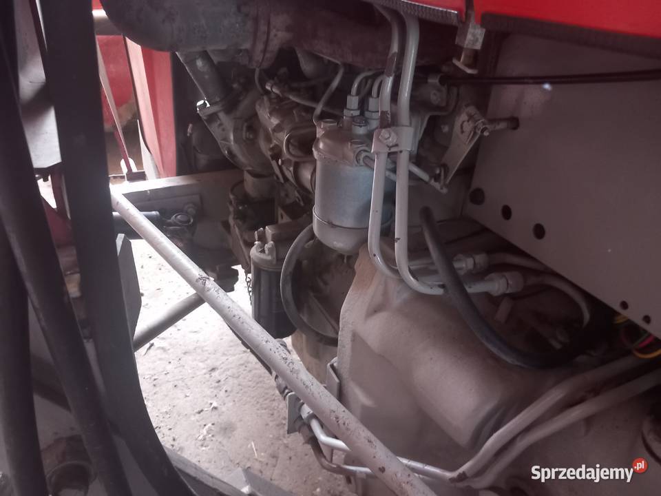 Massey Ferguson 255 Chocianów