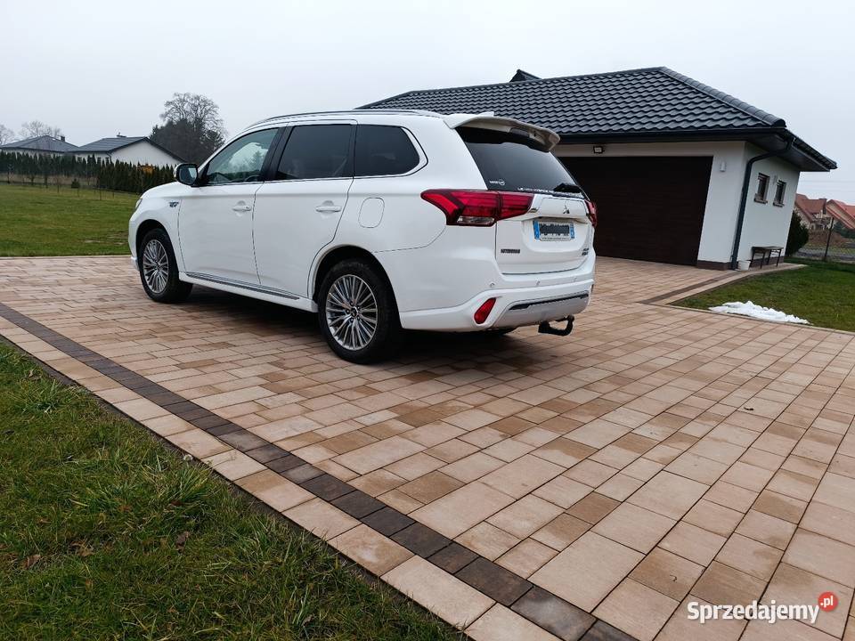 ładny Hybryda Lublin