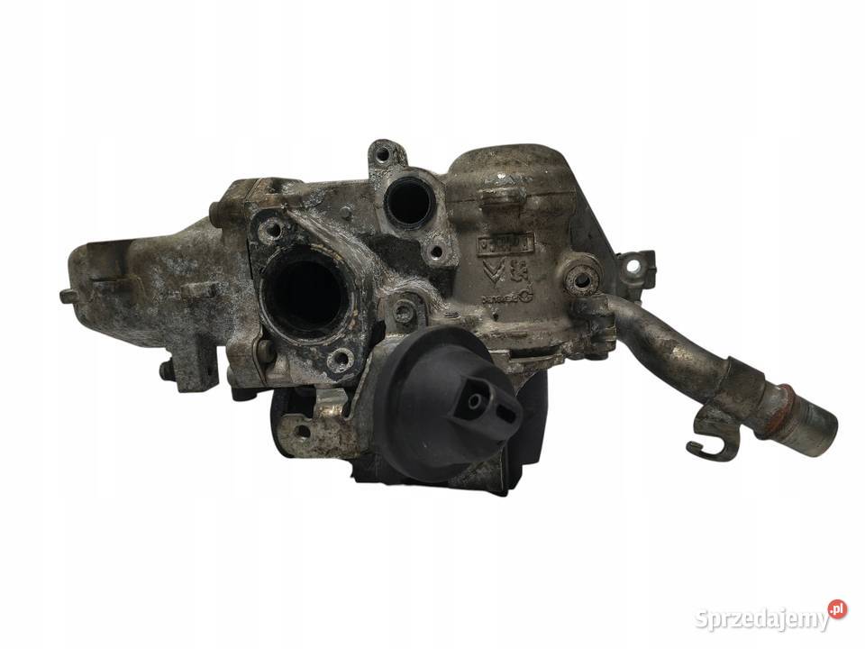 CHŁODNICA SPALIN ZAWÓR EGR Ford Focus III C II osobowe lubelskie