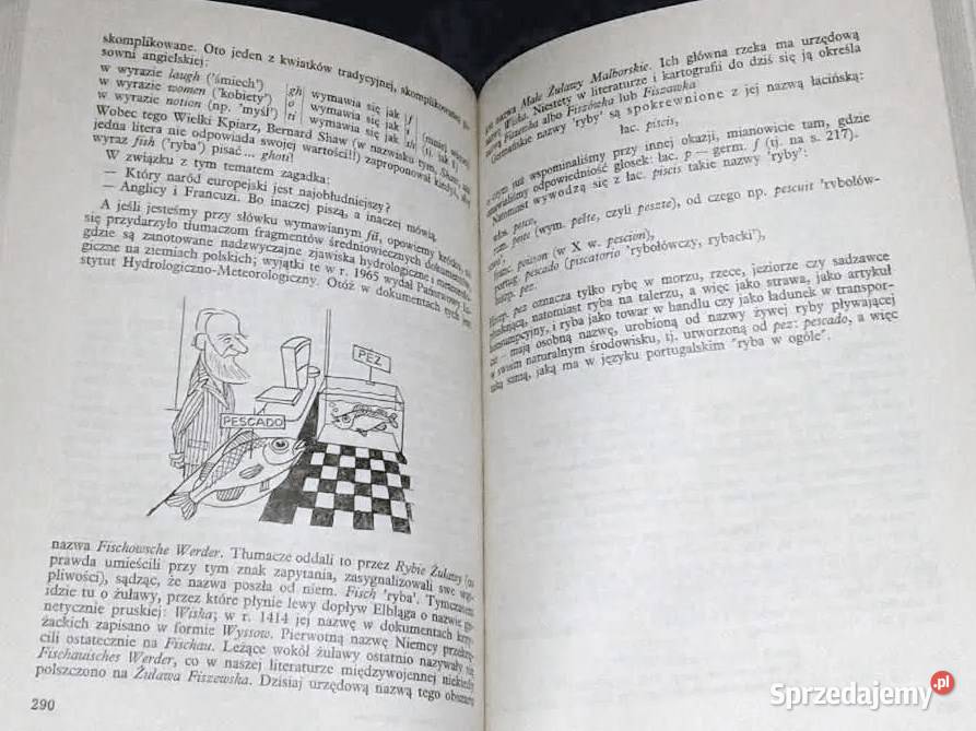 Pontoniakiem morze Zygmunt Brocki Pozostałe Chełm sprzedam