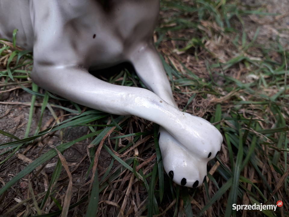 Na prezent figurka porcelanowa wilczur wilk Warszawa sprzedam