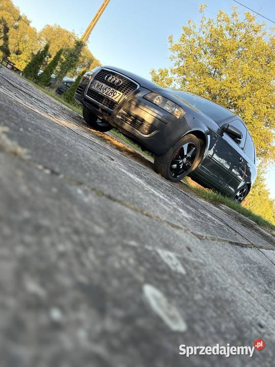 Audi a3 8P 1998cm3 Roczyny