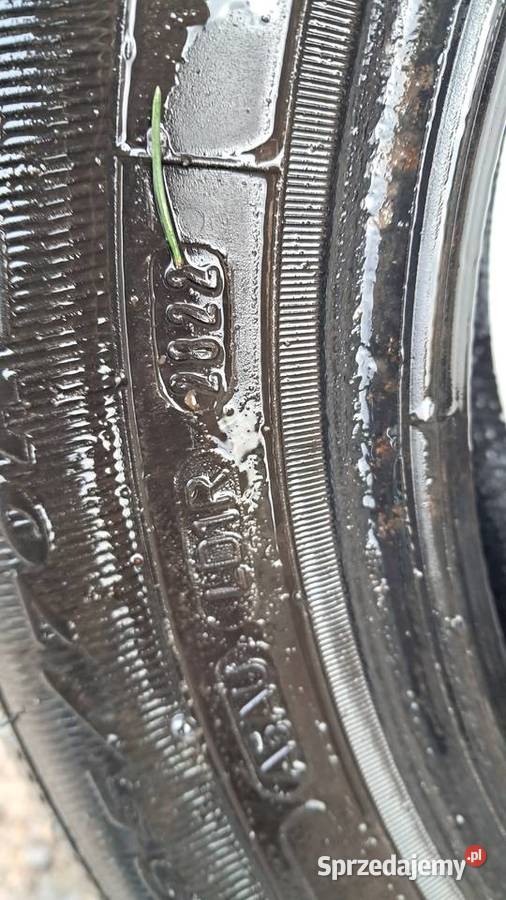 4 Opony Zimowe Dębica Frigo 2 16570 r14 2022r 70 Samochodowe łódzkie Pabianice