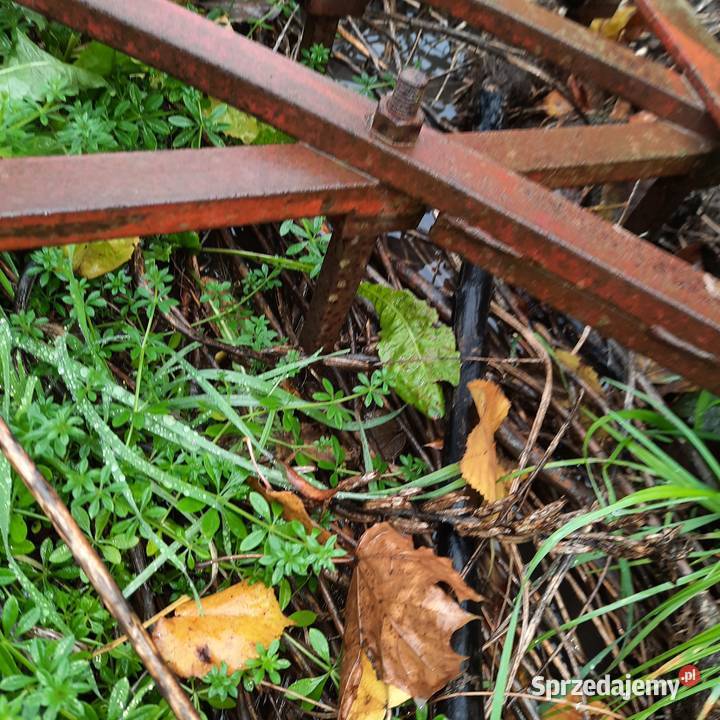 Sprzedam brony 7 polowe Przasnysz