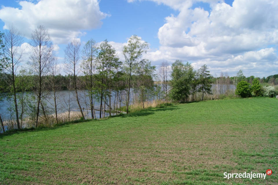 Uzbrojona działka do zabudowy z własną linią kujawsko-pomorskie Orle sprzedam
