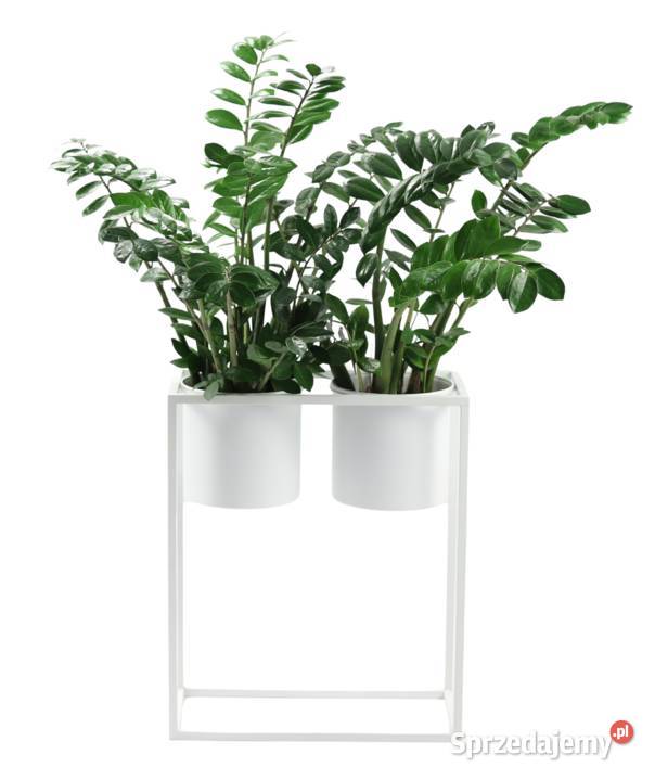 Kwietnik Metalowy Stojak z donicami 60x50 LOFT Kwietniki