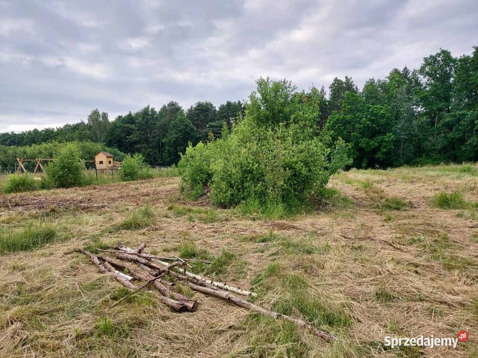 Sprzedam działkę budowlaną pod lasem Kielce