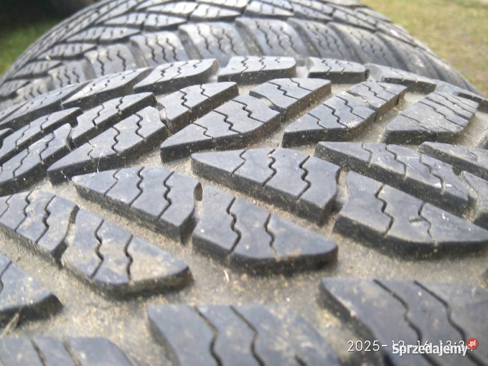 Dębica Frigo 20555 r16 91T zimowe