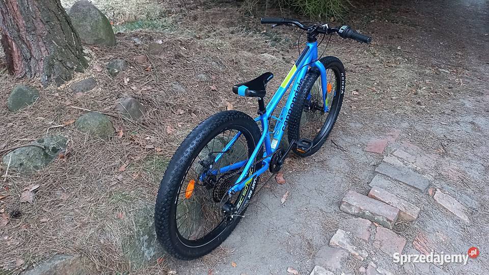 Alu Rower Młodzieżowy Dziecięcy Fatbike Dziecięce Wołów